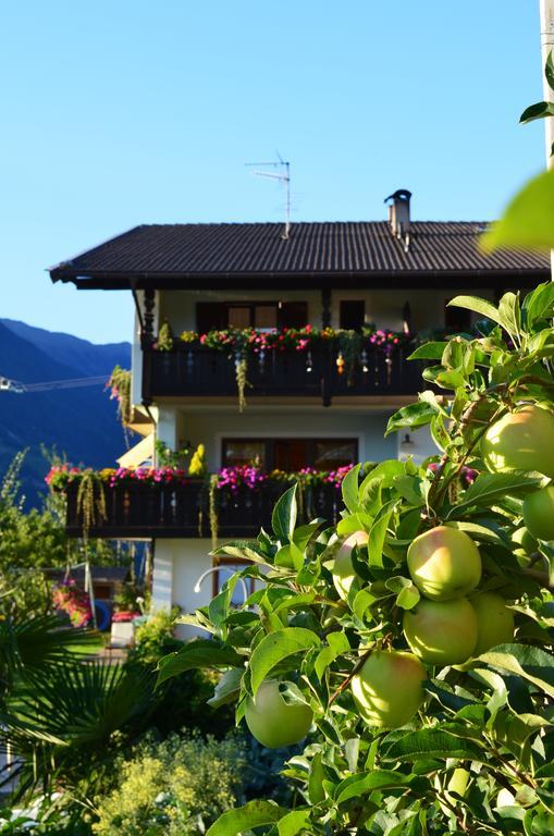 Zimmervermietung Groeberhof Schenna Exterior photo
